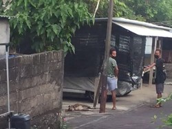Pemilik Syok Anjingnya Mati Dipukul di Nusa Dua Bali, Tahu Kejadian dari Video