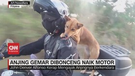 VIDEO: Anjing Gemar Dibonceng Naik Motor