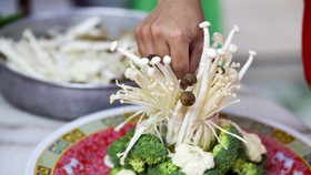 LIPI Jelaskan Bagaimana Bakteri Cemari Jamur Enoki