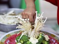 LIPI Jelaskan Bagaimana Bakteri Cemari Jamur Enoki