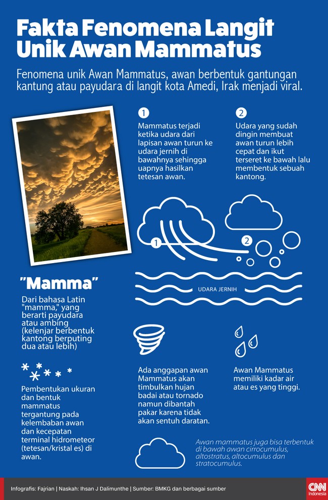Infografis Fenomena Langit Unik Awan Mammatus