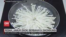 VIDEO: Resah, Jamur Enoki Berbahaya Dikonsumsi