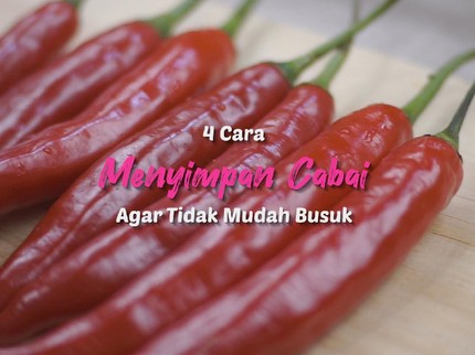 4 Cara Simpan Cabai Agar Tahan Lama