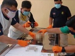 Fakta Terbaru Kerangka Manusia Bawa Arloji Gucci-Dompet Wanita