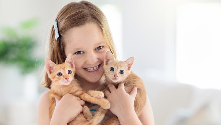 Child holding baby cat. Kids and pets. Little girl hugging cute little kitten at home. Domestic animal in family with kids. Children with pet animals.