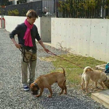 G-Dragon Dikritik Usai Dinilai Abaikan Anjing Peliharaan