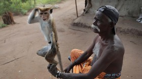 FOTO : Dilema Suku Telugu di Sri Lanka Akibat Covid-19