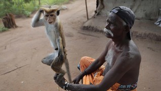 FOTO : Dilema Suku Telugu di Sri Lanka Akibat Covid-19