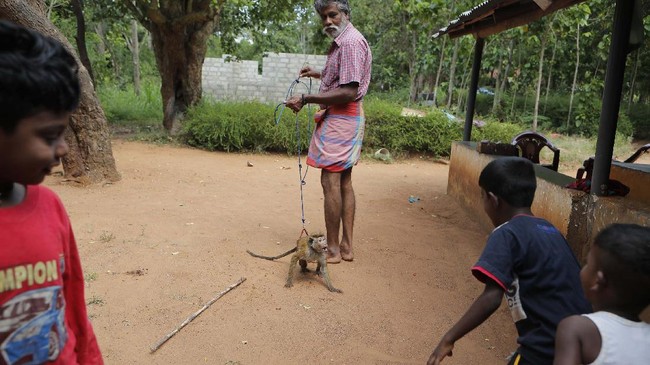 FOTO : Dilema Suku Telugu di Sri Lanka Akibat Covid-19