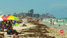 VIDEO: Kasus Covid-19 Tinggi, Warga Florida Padati Pantai