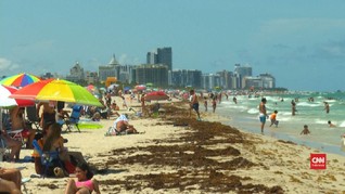 VIDEO: Kasus Covid-19 Tinggi, Warga Florida Padati Pantai