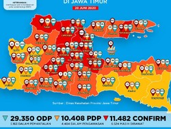 Kasus Positif COVID-19 di Jatim Bertambah 241 Jadi 11.482, yang Sembuh 3.891