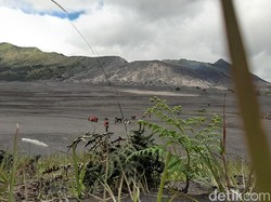 Sambut New Normal, Para Pelaku Wisata Berharap Bromo Segera Dibuka