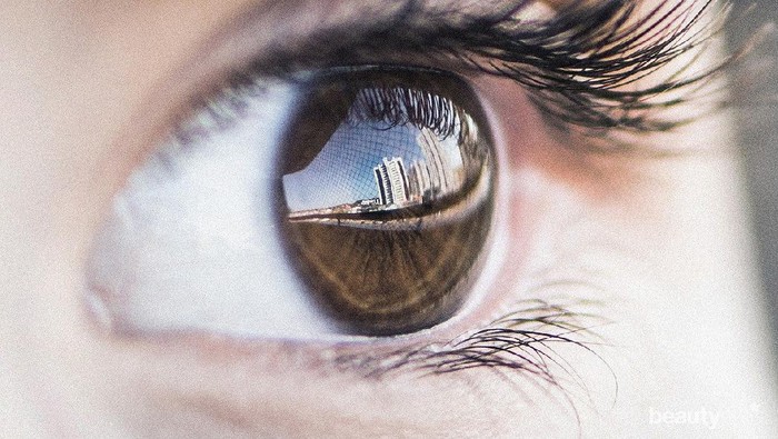 Ingin Mata Sehat? Konsumsi 5 Makanan Ini