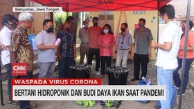 VIDEO: Bertani Hidroponik dan Budi Daya Ikan Saat Pandemi