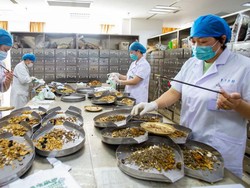 China Dorong Penggunaan Obat Tradisional di Tengah Pandemi Corona