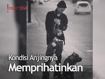 G-Dragon Tuai Kritik Setelah Telantarkan Anjing Peliharaannya