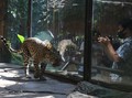 Jatim Park dan 7 Tempat Wisata yang Ada di Jawa Timur