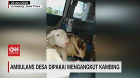 VIDEO: Mobil Ambulans Dipakai Mengangkut Kambing di Lumajang
