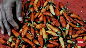 BPS Buka Biang Kerok Kenaikan Harga Cabai Hingga Tahu Tempe