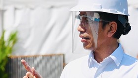 Dampak Pembubaran 16 Lembaga Ekonomi oleh Jokowi