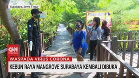 VIDEO: Kebun Raya Mangrove Surabaya Kembali Dibuka