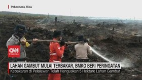 VIDEO: Lahan Gambut Mulai Terbakar, BMKG Beri Peringatan