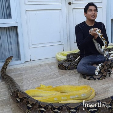 Lucky Hakim Pernah Hampir Mati Dibelit Ular Peliharaan Sendiri