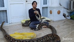 Lucky Hakim Pernah Hampir Mati Dibelit Ular Peliharaan Sendiri