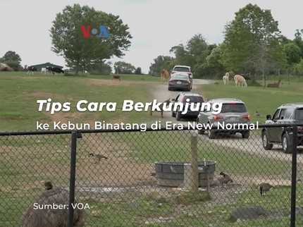 Tips Cara Berkunjung ke Kebun Binatang di Era New Normal