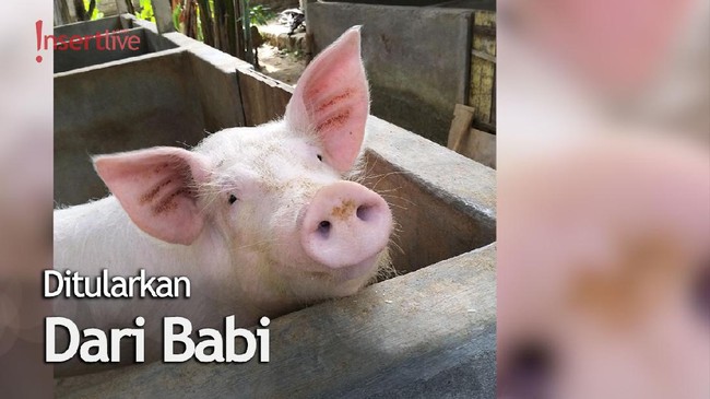 Corona Belum Usai, Kini Ada Virus Baru di China