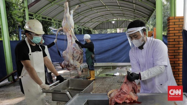 FOTO: Panduan Penyembelihan Hewan Kurban di Masa Pandemi