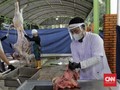Panduan Penyembelihan Hewan Kurban Idul Adha saat Pandemi