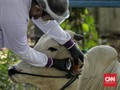 Cara Berkurban di Idul Adha 2020