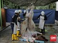Kawal Protokol, Pemotongan Kurban di DKI Diawasi Polisi