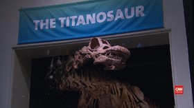 VIDEO: Menguak Penyebab Dinosaurus Punah
