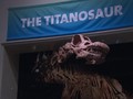 VIDEO: Menguak Penyebab Dinosaurus Punah