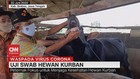 VIDEO: Pemkab Brebes: Virus Corona Pada Hewan Tidak Menular