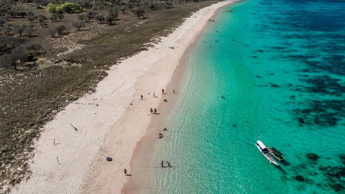 Btnk Ungkap Tujuan Utama Penerapan Aturan '20 Menit' Di Tn Komodo