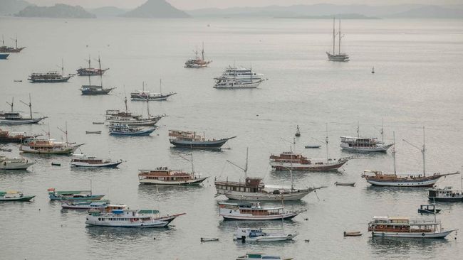 Situs booking online masuk TN Komodo disebut belum sempurna, sehingga sejumlah pelaku wisata lokal kesulitan mengaksesnya.