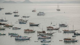 Akses ke Situs Booking Online di TN Komodo Masih Bermasalah