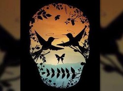 Tes Kepribadian: Gambar Tengkorak atau Burung yang Pertama Dilihat?