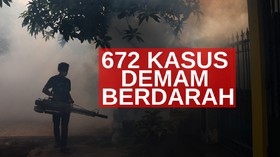 VIDEO: 672 Kasus DBD di Karawang, 8 Meninggal Dunia