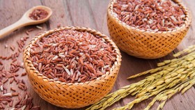 Mau Makan Nasi Saat Diet? Ini Beras Terbaik untuk Turun Berat Badan