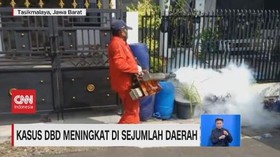 VIDEO: Kasus DBD Meningkat di Sejumlah Daerah