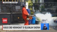 VIDEO: Kasus DBD Meningkat di Sejumlah Daerah
