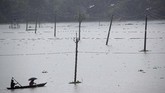 Nyalang Edisi 4 Juli 2020 Villagers cross floodwaters on a country boat in Morigaon district of Assam, India, Friday, June 26, 2020. Following incessant rainfall, the Brahmaputra river and its tributaries continued to rise flooding several districts in the state. (AP Photo/Anupam Nath)