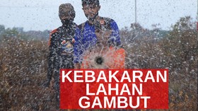 VIDEO: Belasan Titik Panas Terpantau di Riau