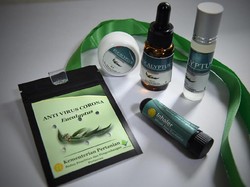 Menguji Klaim Eucalyptus Jadi Antivirus Corona