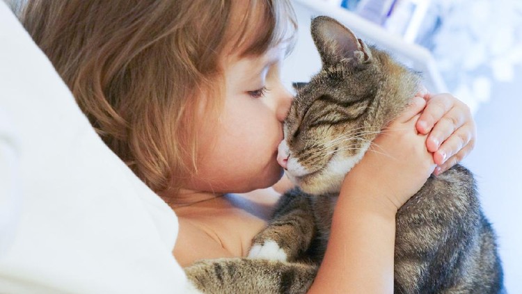 Child is kissing a cat